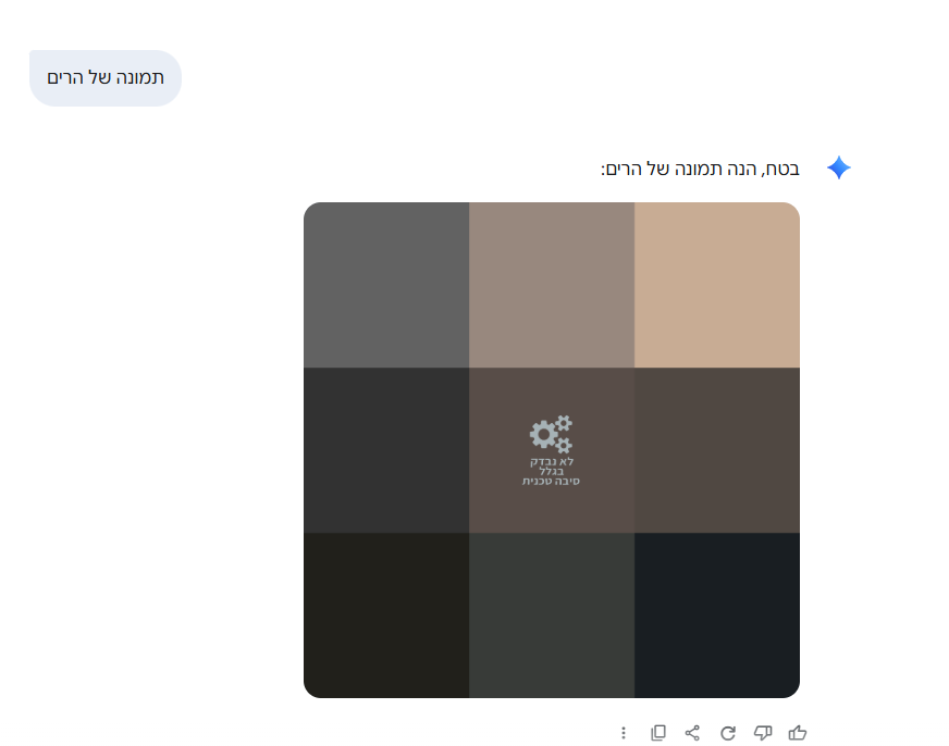 פעילות גמיני ללא התוסף עם סינון נטפרי